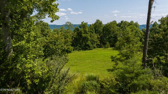 687 Big Springs Rd, Eidson, TN 37731