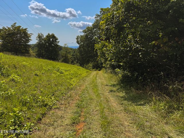 687 Big Springs Rd, Eidson, TN 37731