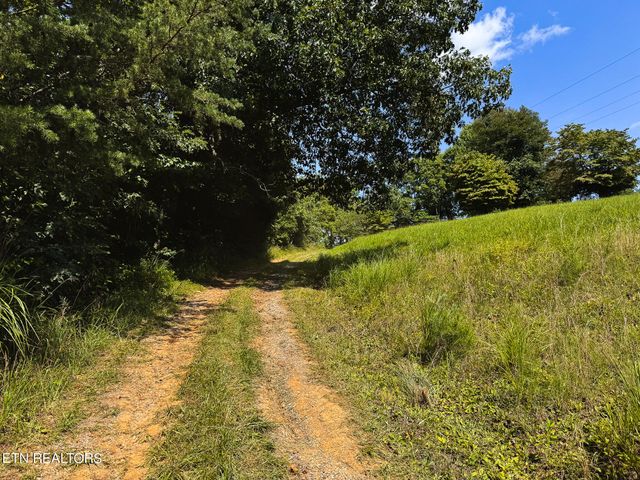 687 Big Springs Rd, Eidson, TN 37731