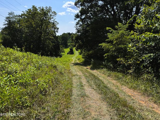 687 Big Springs Rd, Eidson, TN 37731