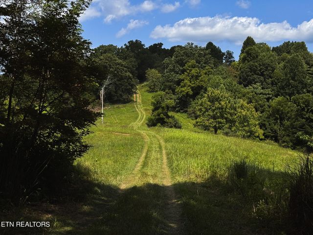 687 Big Springs Rd, Eidson, TN 37731