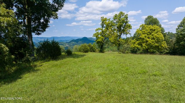 687 Big Springs Rd, Eidson, TN 37731