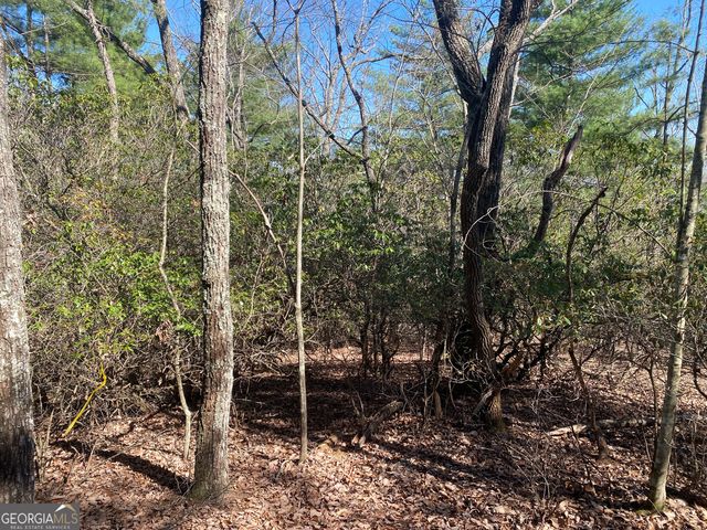 LOT 27 Lake Rabun Bluffs, Lakemont, GA 30552