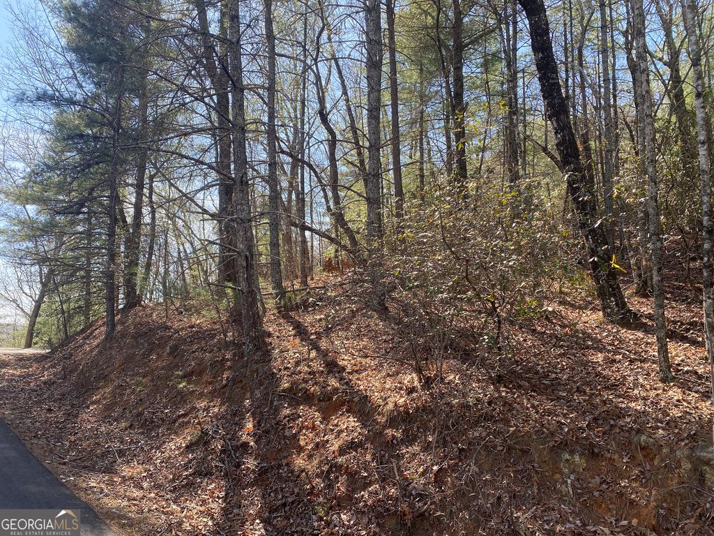 LOT 27 Lake Rabun Bluffs, Lakemont, GA 30552 — photo 2