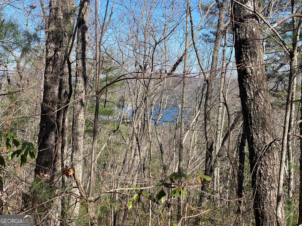 LOT 27 Lake Rabun Bluffs, Lakemont, GA 30552 — photo 3