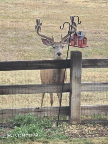 17071 Knollside Avenue, Parker, CO 80134