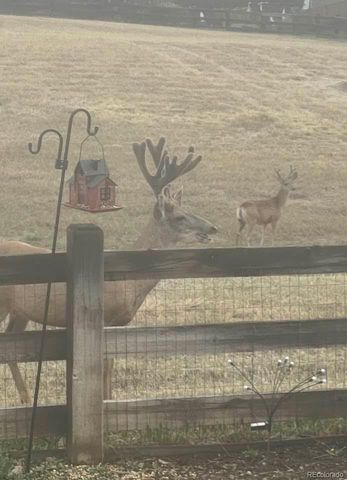 17071 Knollside Avenue, Parker, CO 80134