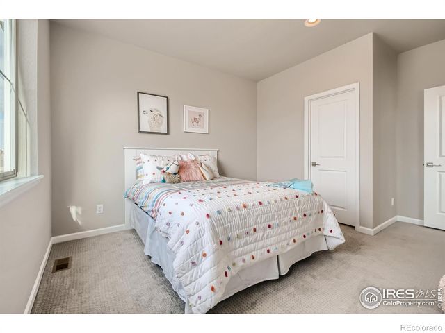 617 Noola Street, Windsor, CO 80550