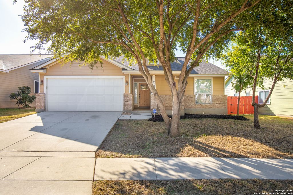 206 Willow Grove, San Antonio, TX 78245