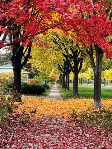 4433 Oliver Avenue N, Minneapolis, MN 55412