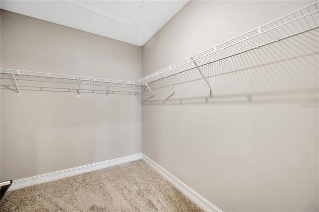 5351 BRIDGE STREET 100, Tampa, FL 33611