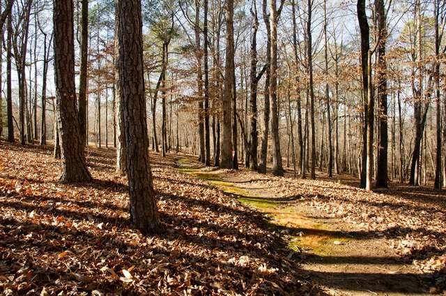 150 Highlands Forest Lane, Oxford, GA 30054