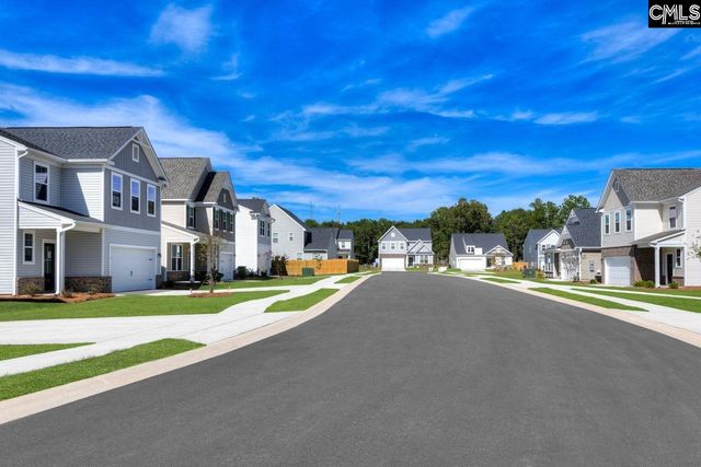 583 Swamp Grass Drive, Columbia, SC 29209