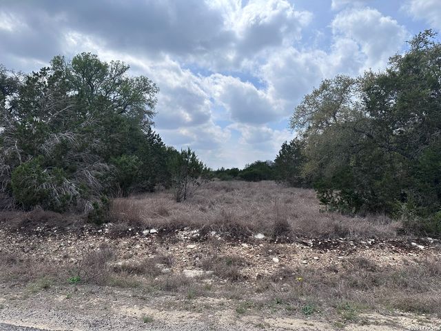 318 Serenity Pass, Spring Branch, TX 78070