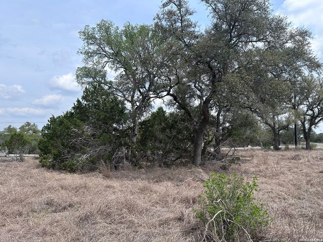 318 Serenity Pass, Spring Branch, TX 78070