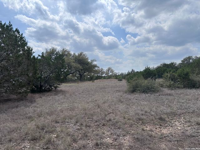 318 Serenity Pass, Spring Branch, TX 78070