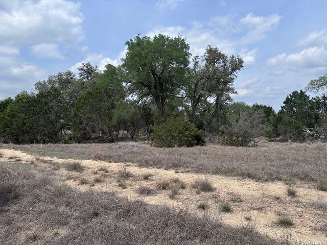 318 Serenity Pass, Spring Branch, TX 78070