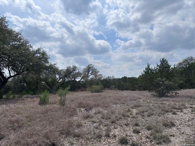 318 Serenity Pass, Spring Branch, TX 78070