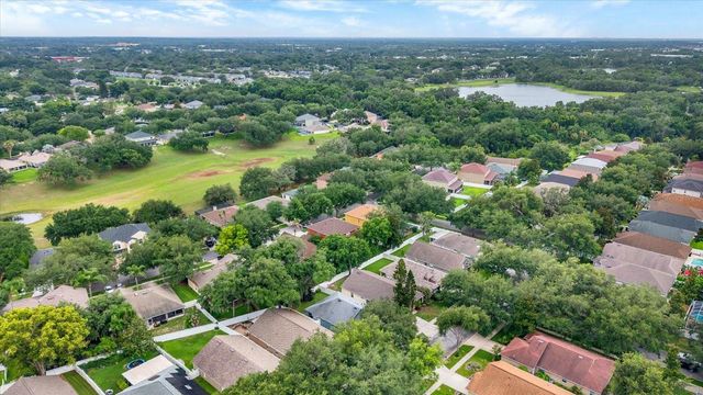 805 STRAW LAKE DRIVE, Brandon, FL 33510