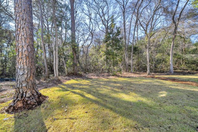 119 Osprey Lane, Santa Rosa Beach, FL 32459