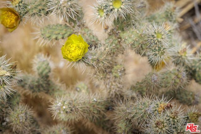 61526 Pueblo Trail, Joshua Tree, CA 92252