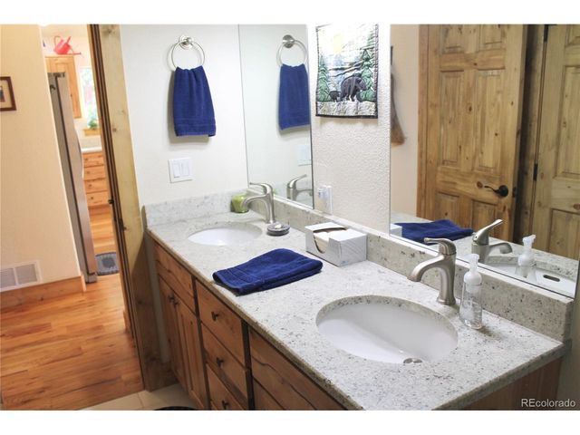 11845 S Stallion Dr, Pine, CO 80470