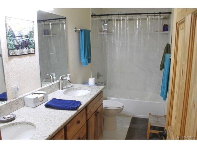 11845 S Stallion Dr, Pine, CO 80470