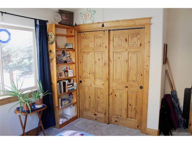 11845 S Stallion Dr, Pine, CO 80470