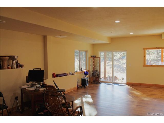 11845 S Stallion Dr, Pine, CO 80470