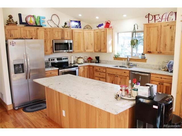 11845 S Stallion Dr, Pine, CO 80470