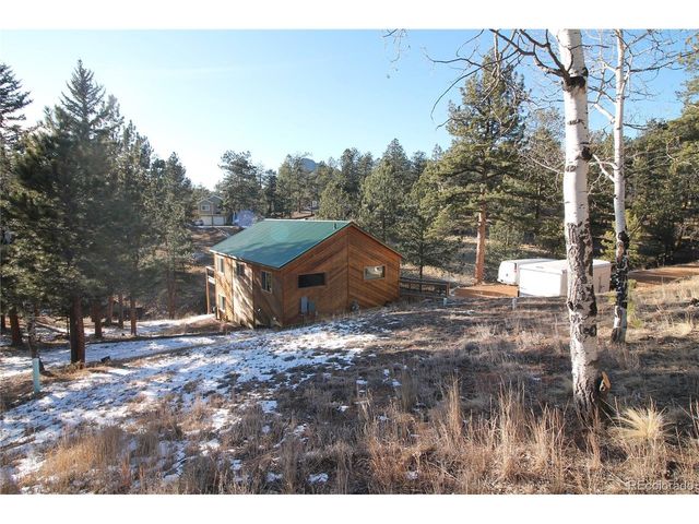 11845 S Stallion Dr, Pine, CO 80470