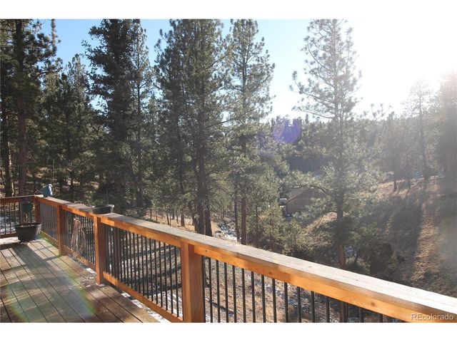 11845 S Stallion Dr, Pine, CO 80470