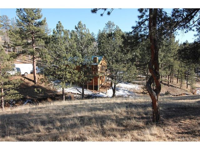11845 S Stallion Dr, Pine, CO 80470