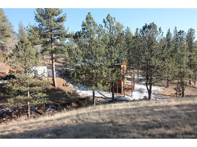 11845 S Stallion Dr, Pine, CO 80470