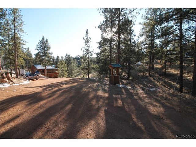 11845 S Stallion Dr, Pine, CO 80470