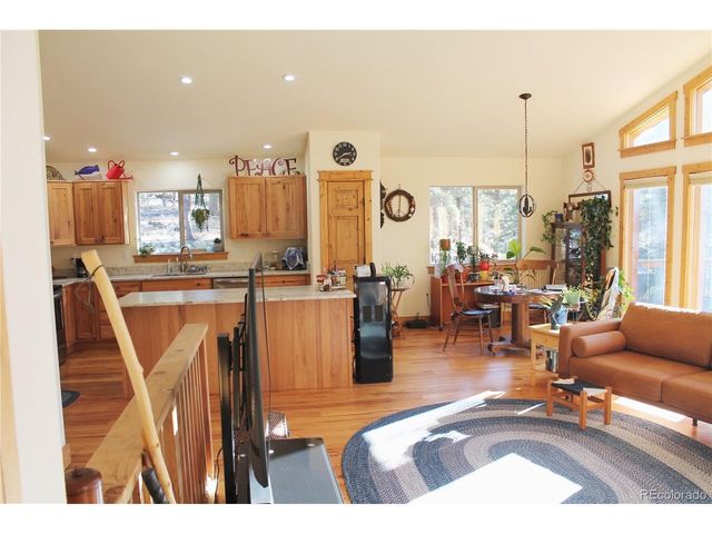 11845 S Stallion Dr, Pine, CO 80470