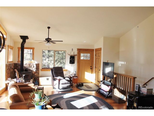 11845 S Stallion Dr, Pine, CO 80470