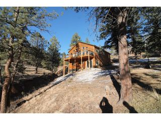 11845 S Stallion Dr, Pine, CO 80470