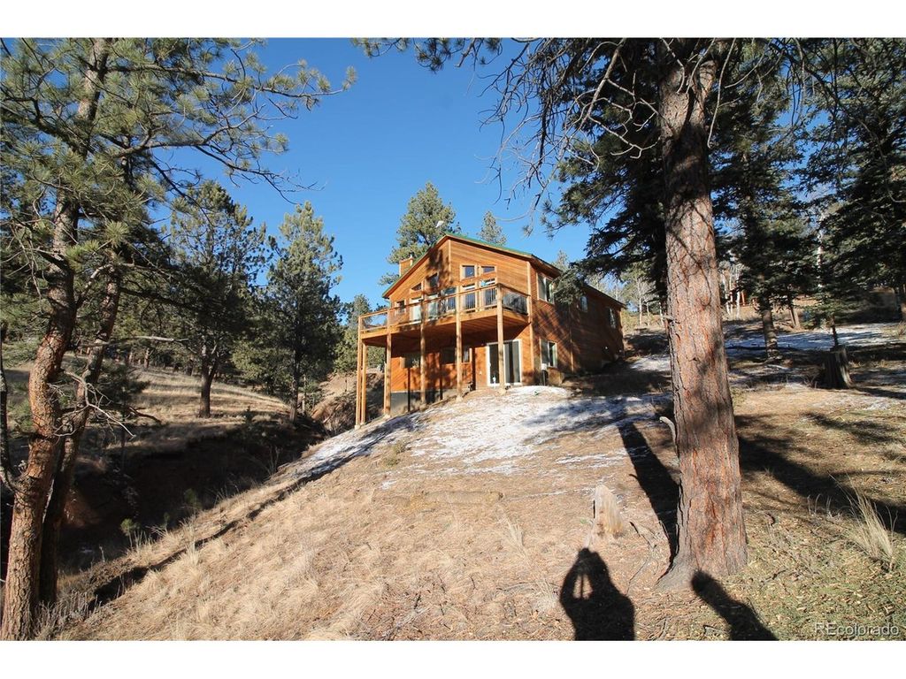 11845 S Stallion Dr, Pine, CO 80470