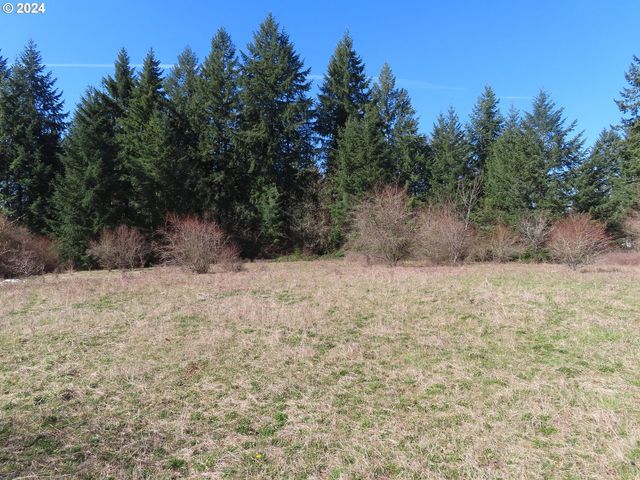 107 AVERY Rd A, Napavine, WA 98565