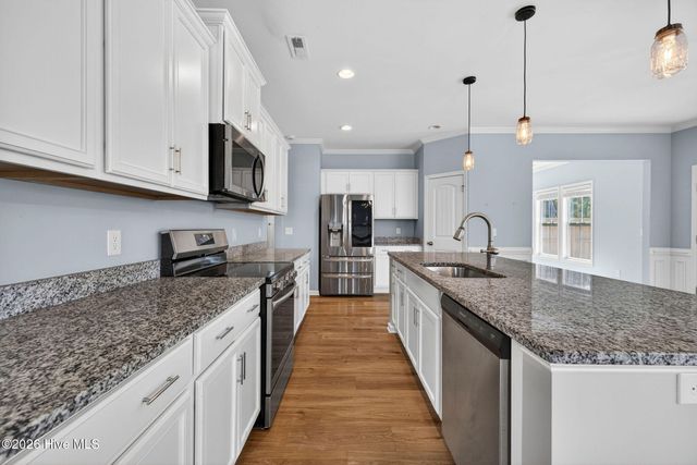 52 Violetear Ridge, Hampstead, NC 28443