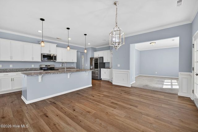 52 Violetear Ridge, Hampstead, NC 28443