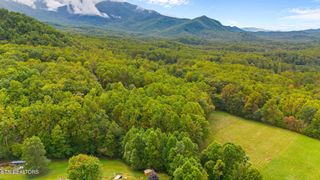 Mountain Laurel Way, Cosby, TN 37722