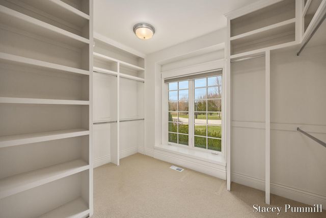 6450 Roma Terrace Drive NE, Ada, MI 49301