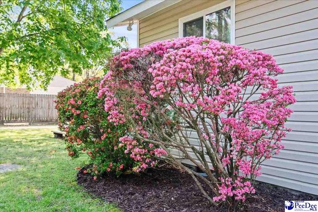 313 Oakdale Dr, Hartsville, SC 29550