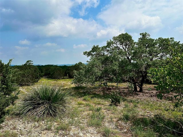 1200 Lipan Apache RUN, Blanco, TX 78606
