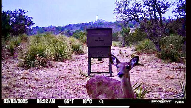 1200 Lipan Apache RUN, Blanco, TX 78606