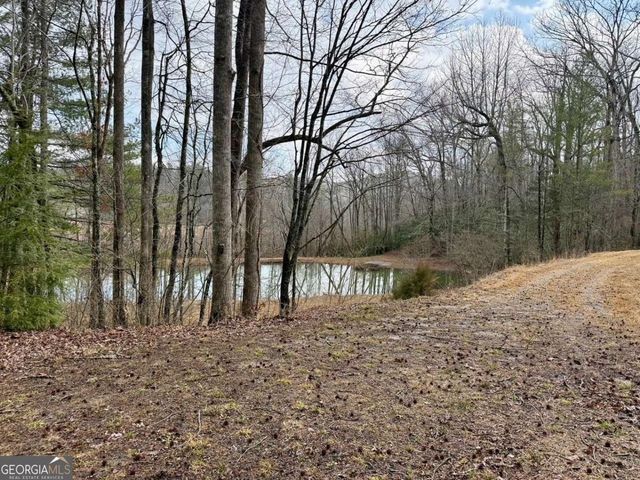 1365 Skylake Road, Sautee Nacoochee, GA 30571