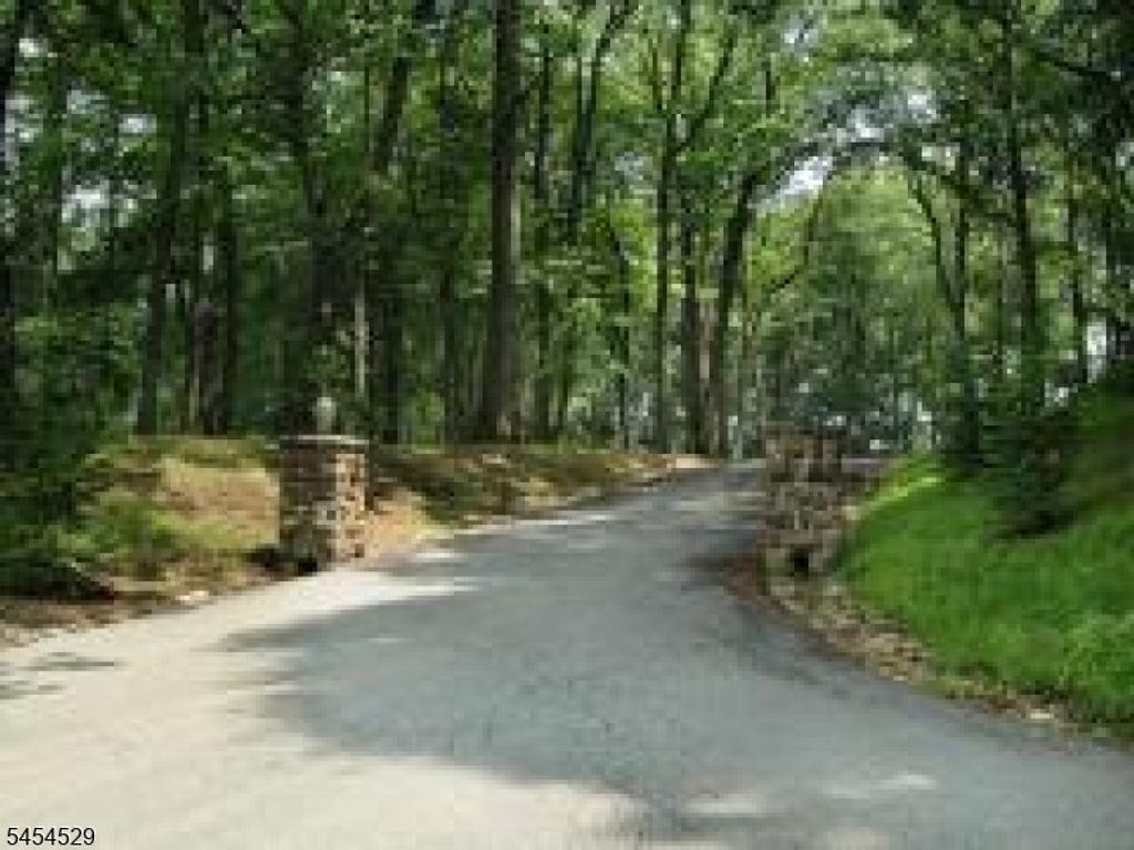 17 Exmoor Dr, Mendham Twp., NJ 07945 — photo 5