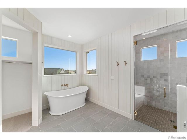 146 Blue Fortune Drive, Windsor, CO 80550